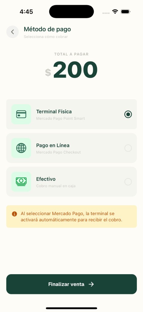 PuntoFast — terminal, pago en línea o efectivo